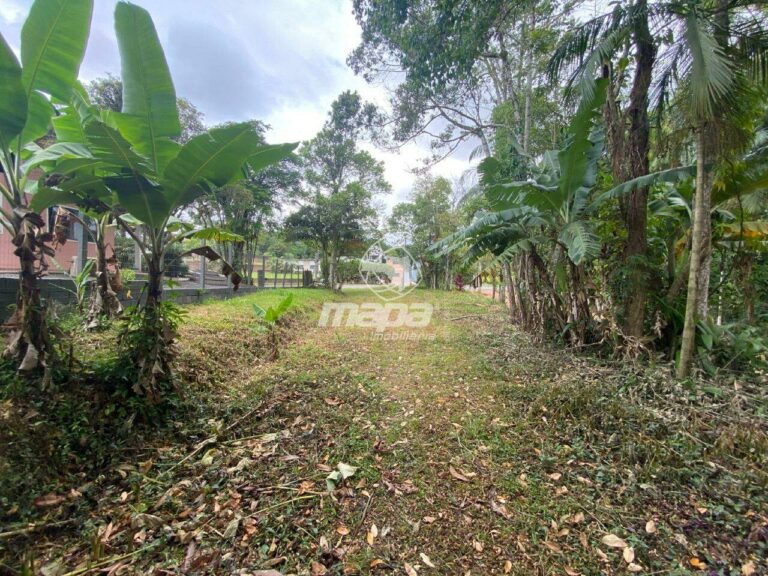 Terreno Urbano à venda no Araponguinhas: