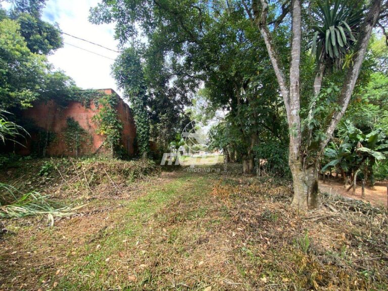 Terreno Urbano à venda no Araponguinhas: