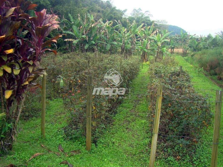 Chácara/Sitio à venda no São Pedro Velho: