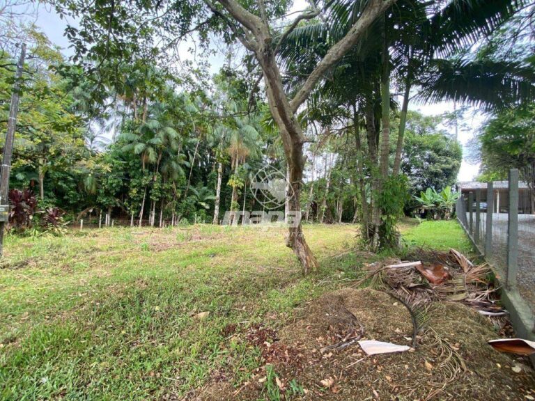 Terreno Urbano à venda no Araponguinhas: