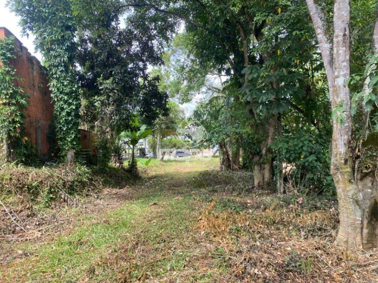 Terreno Urbano à venda no Araponguinhas: