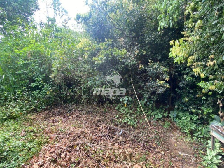 Terreno Urbano à venda no Araponguinhas: