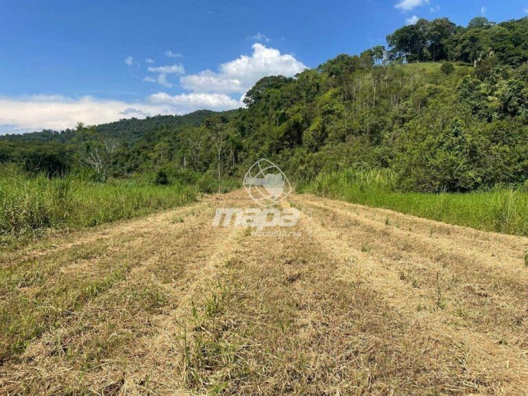 Terreno Rural à venda no Warnow: