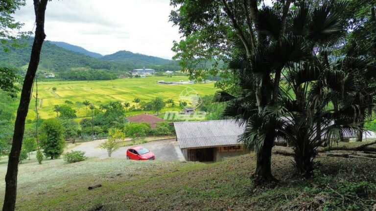 Chácara/Sitio à venda no Estradinha: