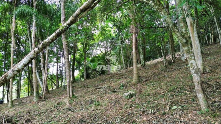 Chácara/Sitio à venda no Estradinha: