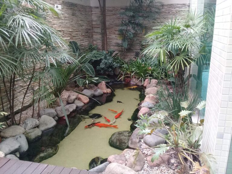 Jardim