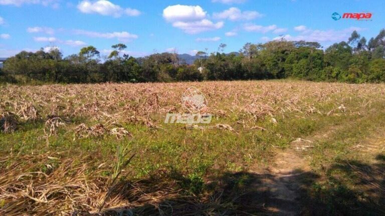 Terreno Urbano à venda no Rio Morto: