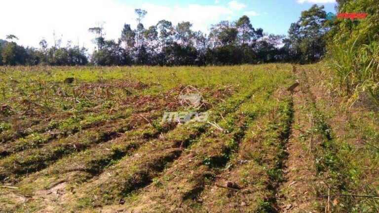 Terreno Urbano à venda no Rio Morto:
