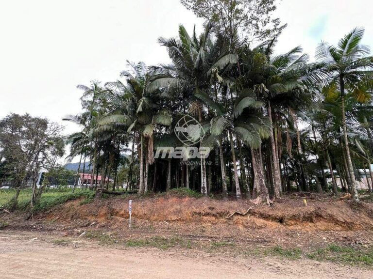Terreno Urbano à venda no Padre Martinho Stein: