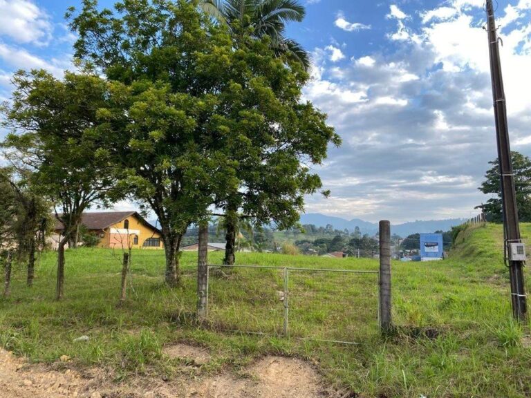Terreno Urbano à venda no Araponguinhas: