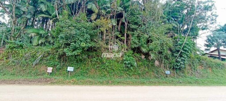 Terreno Urbano à venda no Padre Martinho Stein: