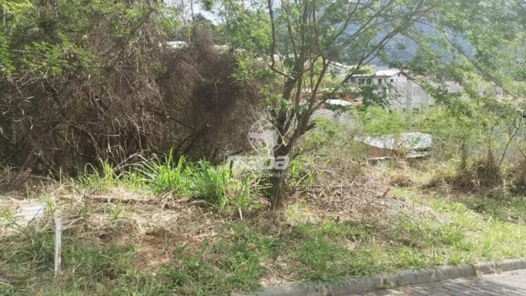 Terreno Urbano à venda no Warnow: