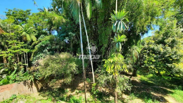 Casa comercial para aluguel no Centro : Vista fundos