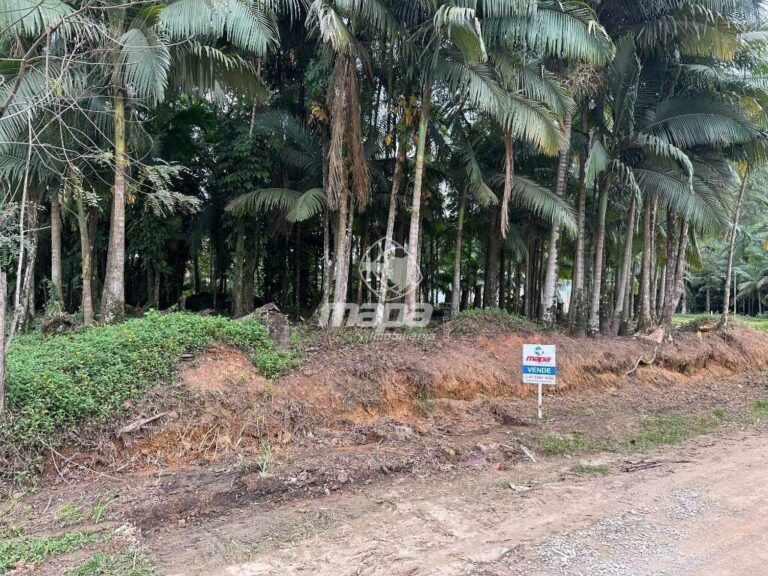 Terreno Urbano à venda no Padre Martinho Stein: