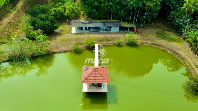 Chácara/Sitio à venda no Rio Morto: