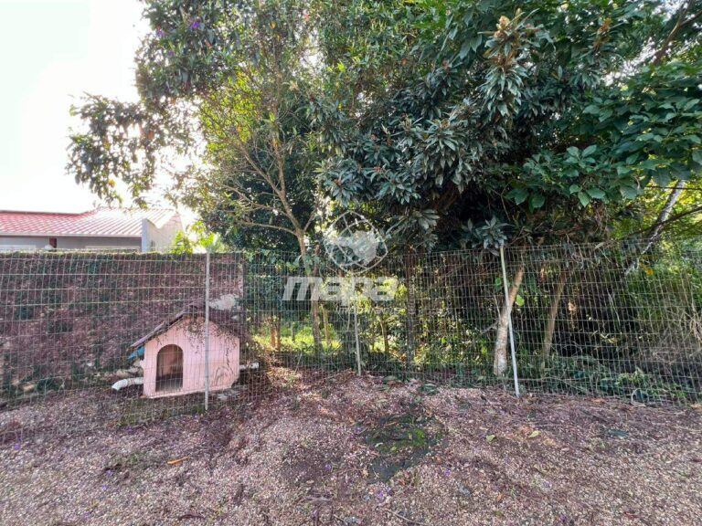 Casa para aluguel no João Paulo II: Canil