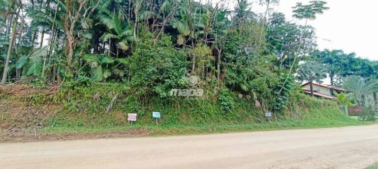 Terreno Urbano à venda no Padre Martinho Stein: