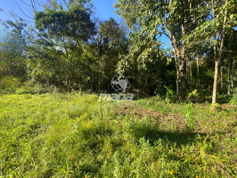 Terreno Urbano à venda no Pomeranos: